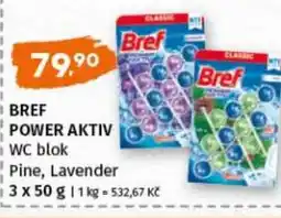 Terno BREF Power aktiv wc blok pine, lavender nabídka