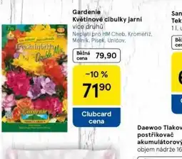 Tesco Gardenie květinové cibulky jarní nabídka