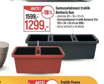 Globus Samozavlažovací truhlík berberis duo nabídka