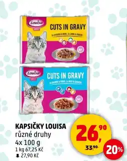 Penny Market KAPSIČKY LOUISA nabídka