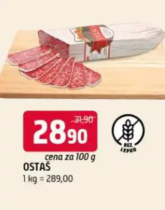Terno Ostaš nabídka