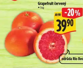 Albert Grapefruit červený nabídka