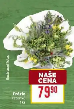 Billa Frézie 7 stonků 1ks nabídka