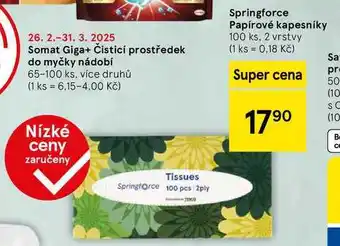 Tesco Springforce Papírové kapesníky, 100 ks. 2 vrstvy nabídka