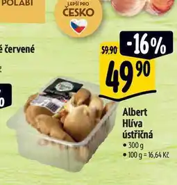 Albert Albert Hlíva ústřičná 300 g nabídka