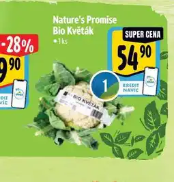 Albert Nature's Promise Bio Květák 1ks nabídka