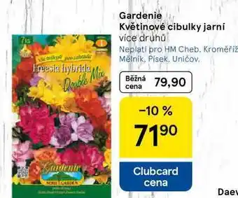 Tesco Gardenie Květinové cibulky jarní, více druhů nabídka