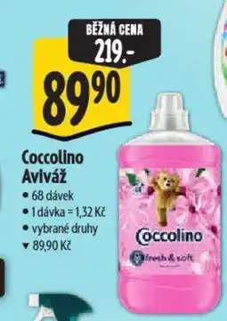 Albert Coccolino Aviváž nabídka