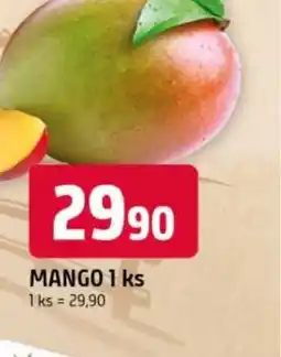 Trefa Mango nabídka