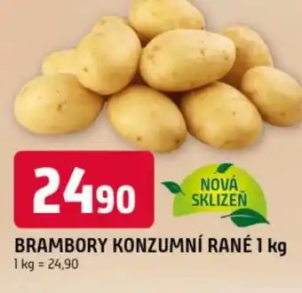 Trefa Brambory konzumní rané nabídka