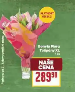 Billa Bonvia flora tulipány xl nabídka