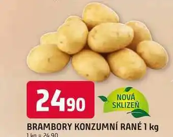 Trefa BRAMBORY KONZUMNÍ RANÉ 1 kg nabídka