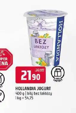 Terno Hollandia jogurt bílý nabídka