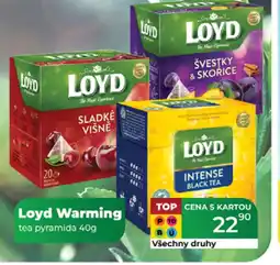 Tamda Foods Loyd Warming tea pyramida nabídka