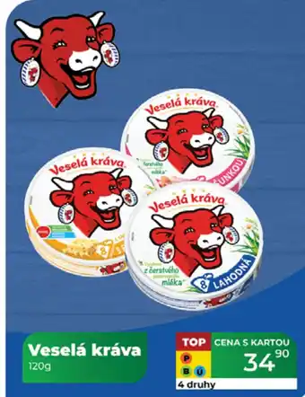 Tamda Foods Veselá kráva nabídka