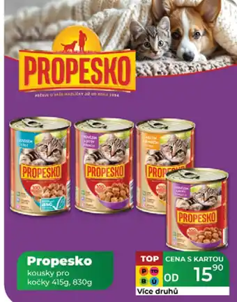 Tamda Foods PROPESKO kousky pro kočky nabídka