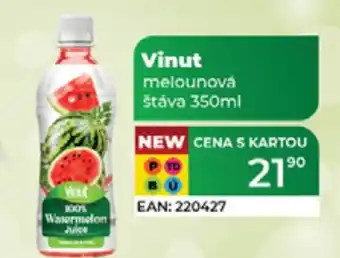 Tamda Foods Vinut melounová štáva nabídka