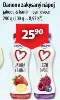 CBA Danone zakysaný nápoj, 290 g nabídka