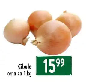 Qanto Cibule nabídka