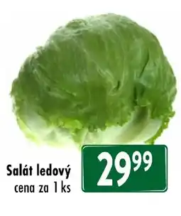 Qanto Salát ledový nabídka