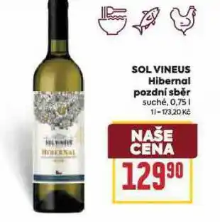 Billa Sol vineus hibernal nabídka