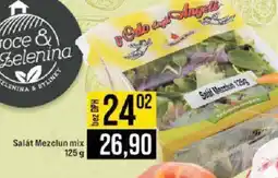 Jip Salát Mezclun mix nabídka