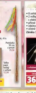 Norma Pomlázka 50 cm nabídka