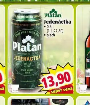 Norma Pivo platan 11 nabídka