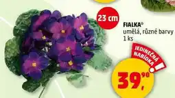 Penny Market FIALKA umělá, různé barvy, 1 ks nabídka