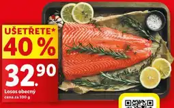Lidl Losos obecný nabídka
