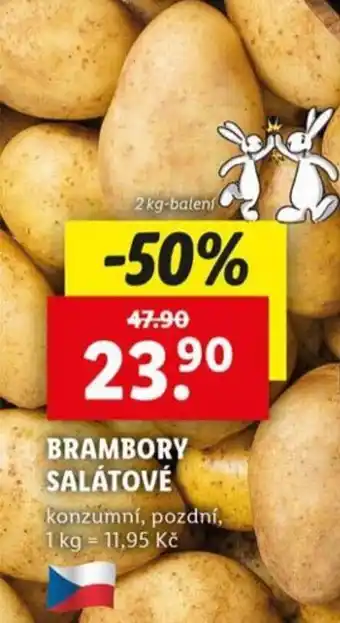 Lidl Brambory salátové nabídka