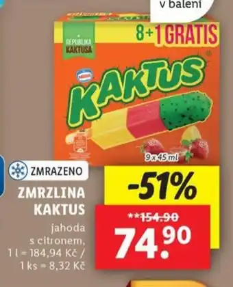 Lidl Zmrzlina kaktus nabídka