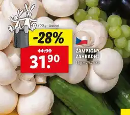 Lidl Žampiony zahradní nabídka