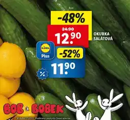 Lidl Okurka salátová nabídka