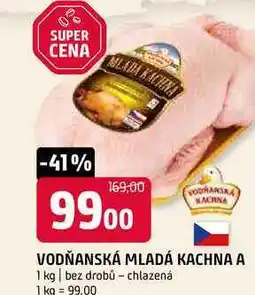 Terno Vodńanská mladá kachna A bez drobů chlazená 1 kg nabídka