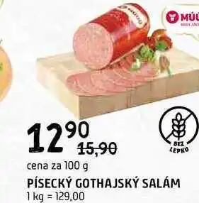 Terno Písecký Gothajský salám 100g nabídka