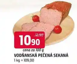 Terno Vodňanská pečená sekaná 100g nabídka