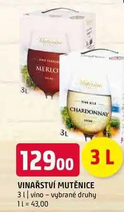 Terno Vinařství mutěnice 3l víno vybrané druhy nabídka
