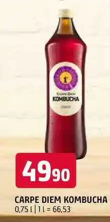 Terno Carpe diem kombucha 0,75l nabídka