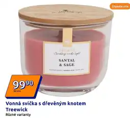 Action Vonná svíčka s dřevěným knotem Treewick nabídka