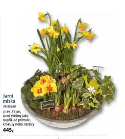 Bauhaus Jarní miska nabídka