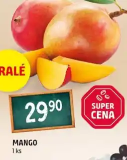 Terno Mango nabídka