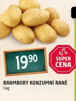 Terno Brambory konzumní rané nabídka