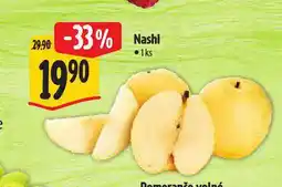 Albert Nashi nabídka