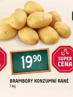 Terno Brambory konzumní rané 1kg nabídka