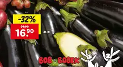 Lidl Lilek nabídka