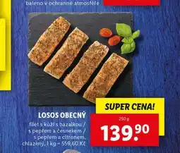 Lidl Losos obecný nabídka