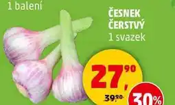 Penny Market ČESNEK ČERSTVÝ, 1 svazek nabídka