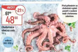 Globus Chobotnice obecná celá nabídka