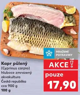 Kaufland Kapr půlený nabídka